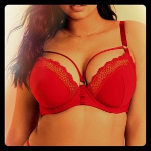 Contour Plunge Bra